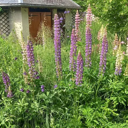 Le Jardin D'apolline Vakantiehuis *