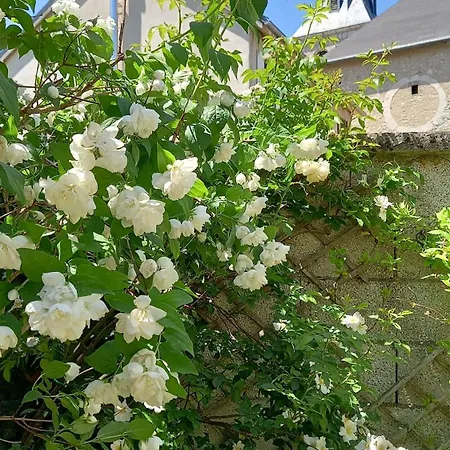 Le Jardin D'apolline * Villard-de-Lans